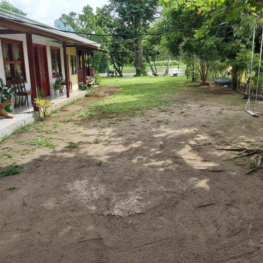 Cabanas Daneysha Tortuguero Eksteriør billede