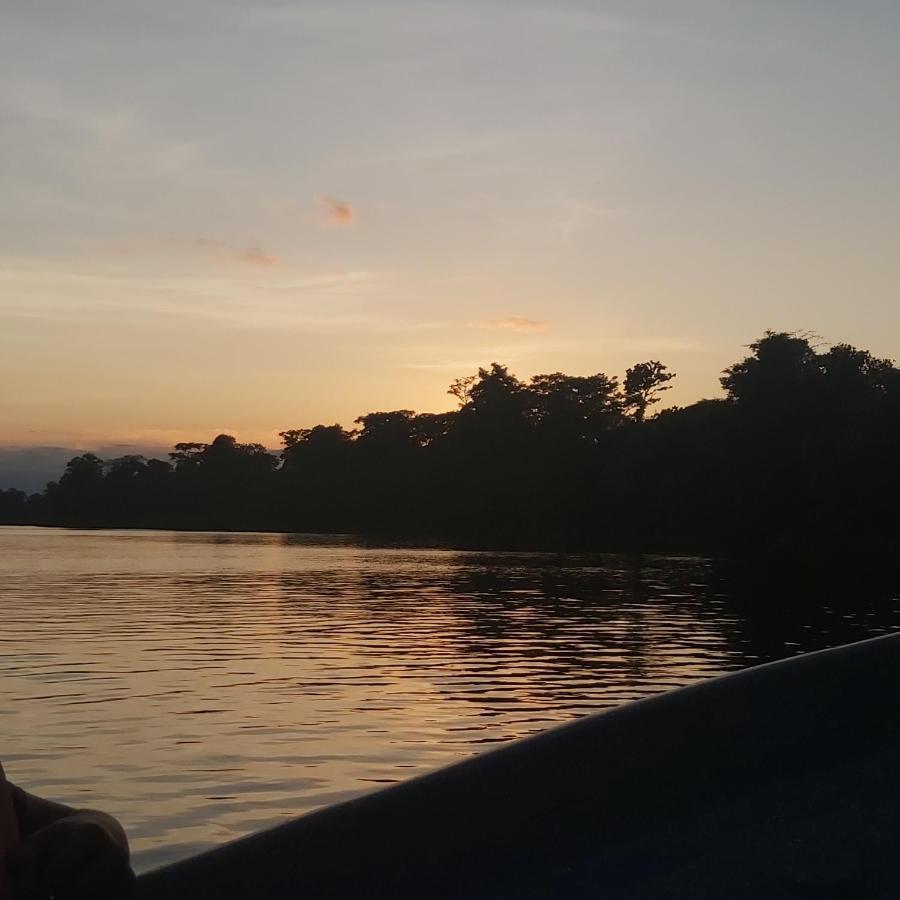 Cabanas Daneysha Tortuguero Eksteriør billede