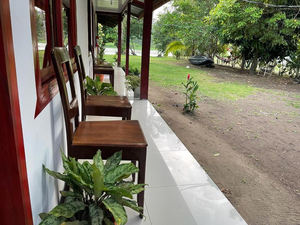 Cabanas Daneysha Tortuguero Eksteriør billede
