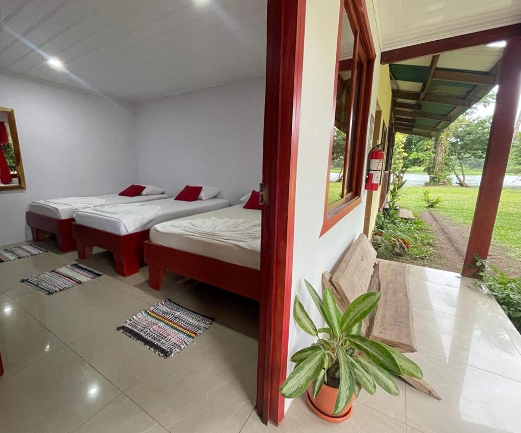 Cabanas Daneysha Tortuguero Eksteriør billede