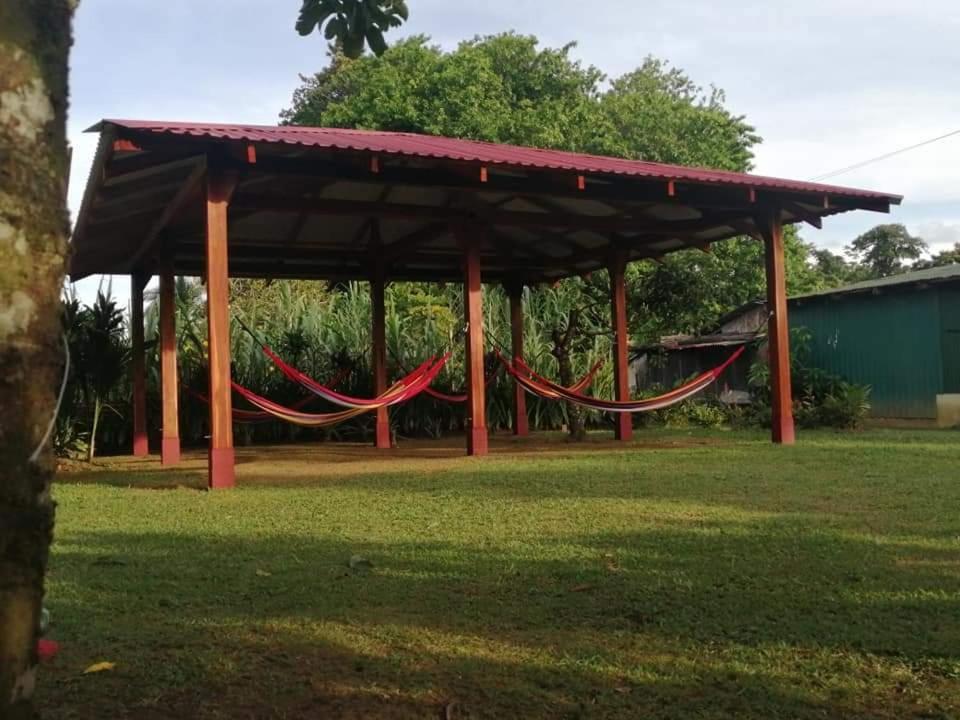 Cabanas Daneysha Tortuguero Eksteriør billede