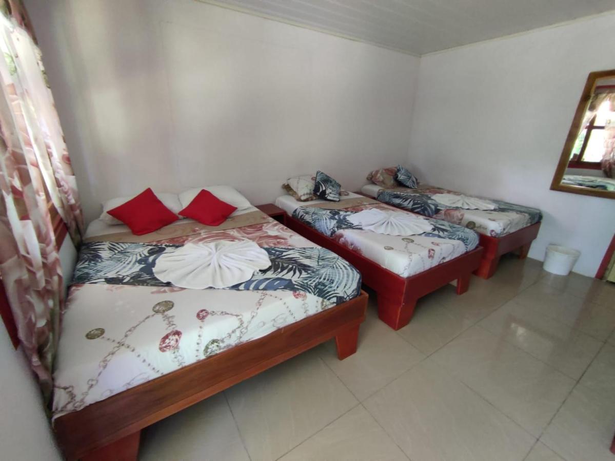 Cabanas Daneysha Tortuguero Eksteriør billede