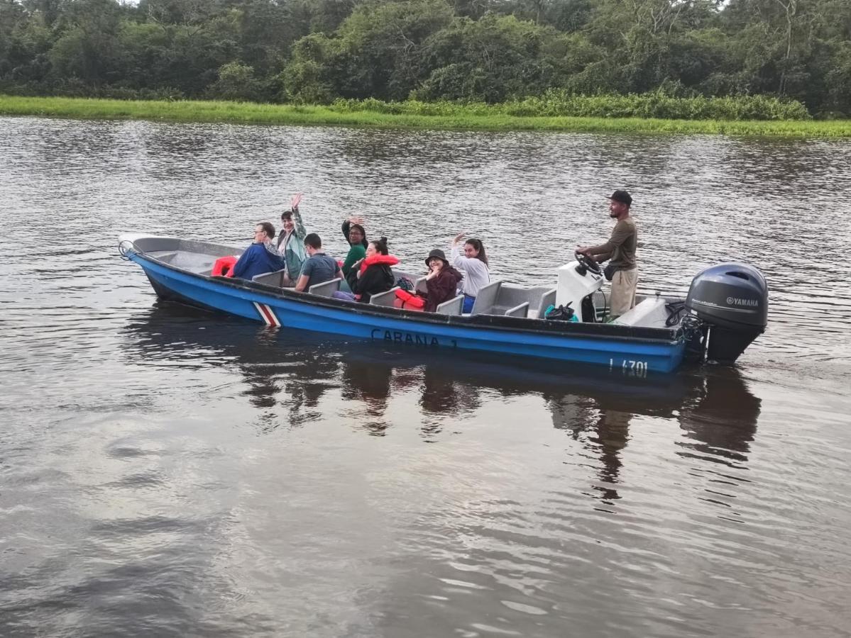 Cabanas Daneysha Tortuguero Eksteriør billede