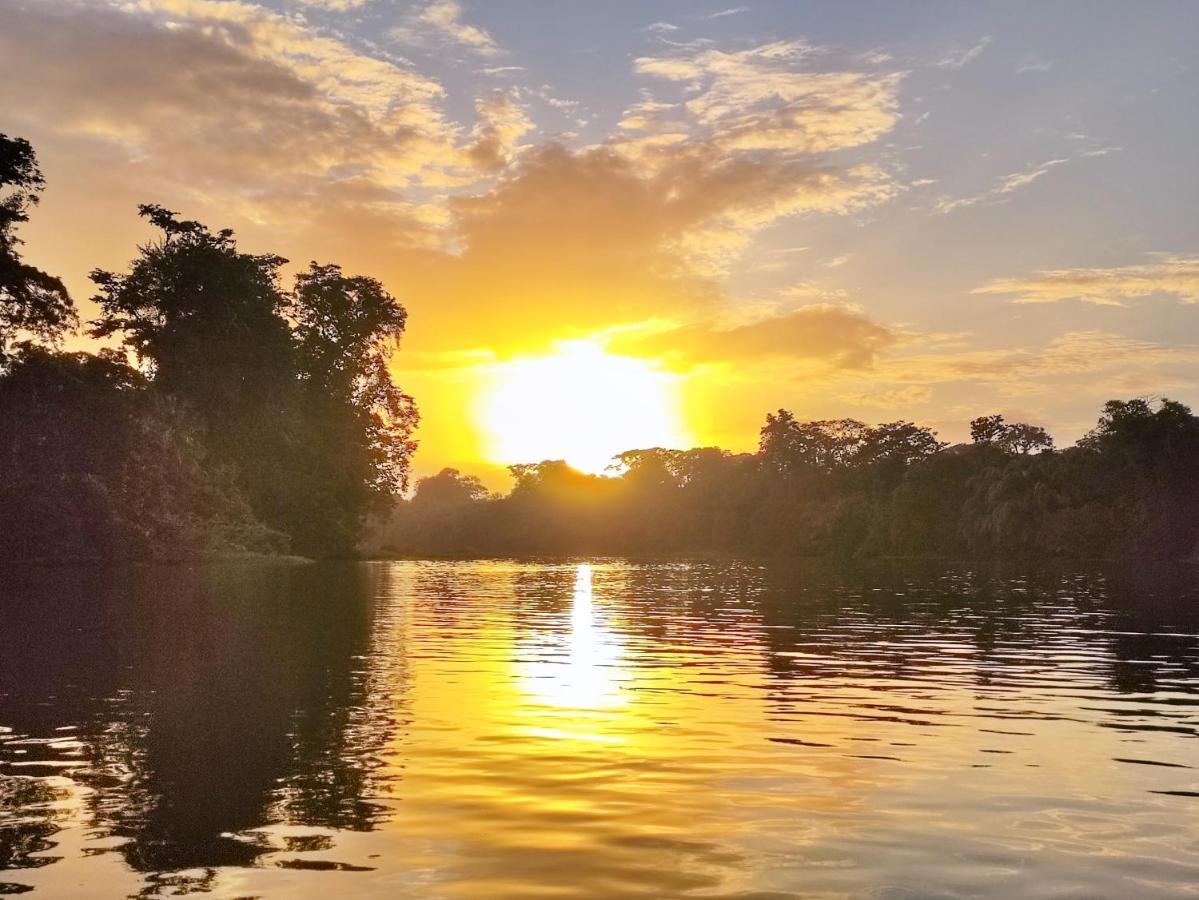 Cabanas Daneysha Tortuguero Eksteriør billede
